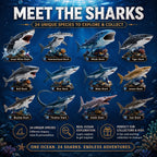 Haifina | Shark Figure Advent Calendar with 24 Collectible Sharks 2026