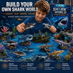 Haifina | Shark Figure Advent Calendar with 24 Collectible Sharks 2026