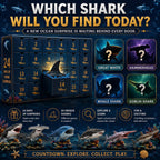 Haifina | Shark Figure Advent Calendar with 24 Collectible Sharks 2026