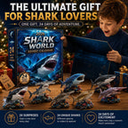 Haifina | Shark Figure Advent Calendar with 24 Collectible Sharks 2026
