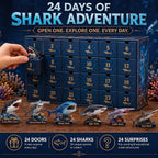Haifina | Shark Figure Advent Calendar with 24 Collectible Sharks 2026