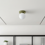 Glass Globe Wall & Ceiling Light with Coloured Disc – 12 × 10 cm, G9 LED, 3000K Warm White, Hardwired