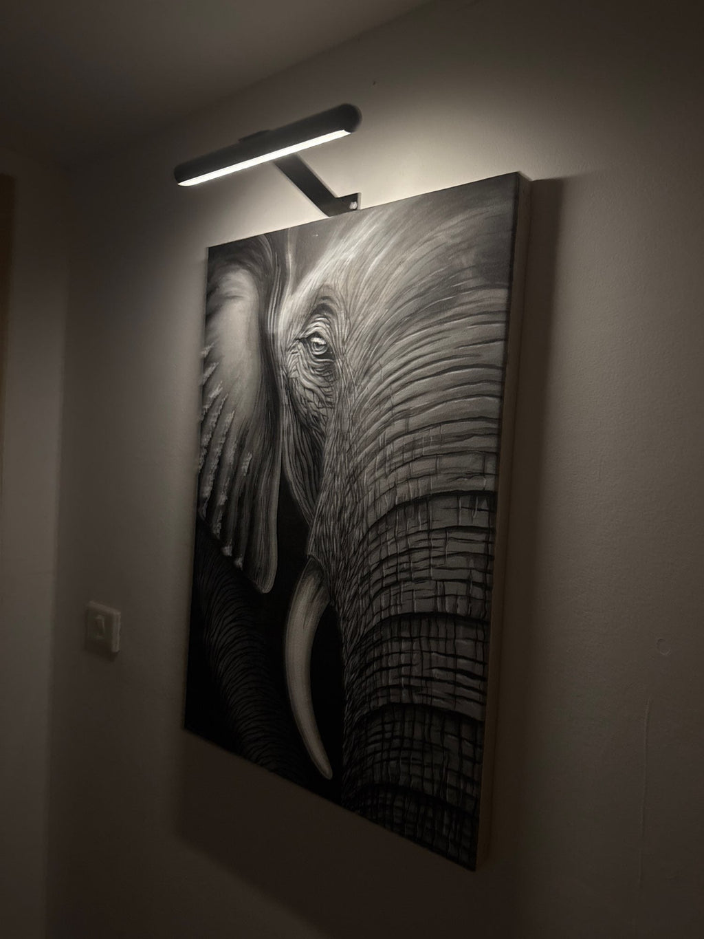 Cordless LED Picture Light – Rechargeable Wall Light for Art & Photos
