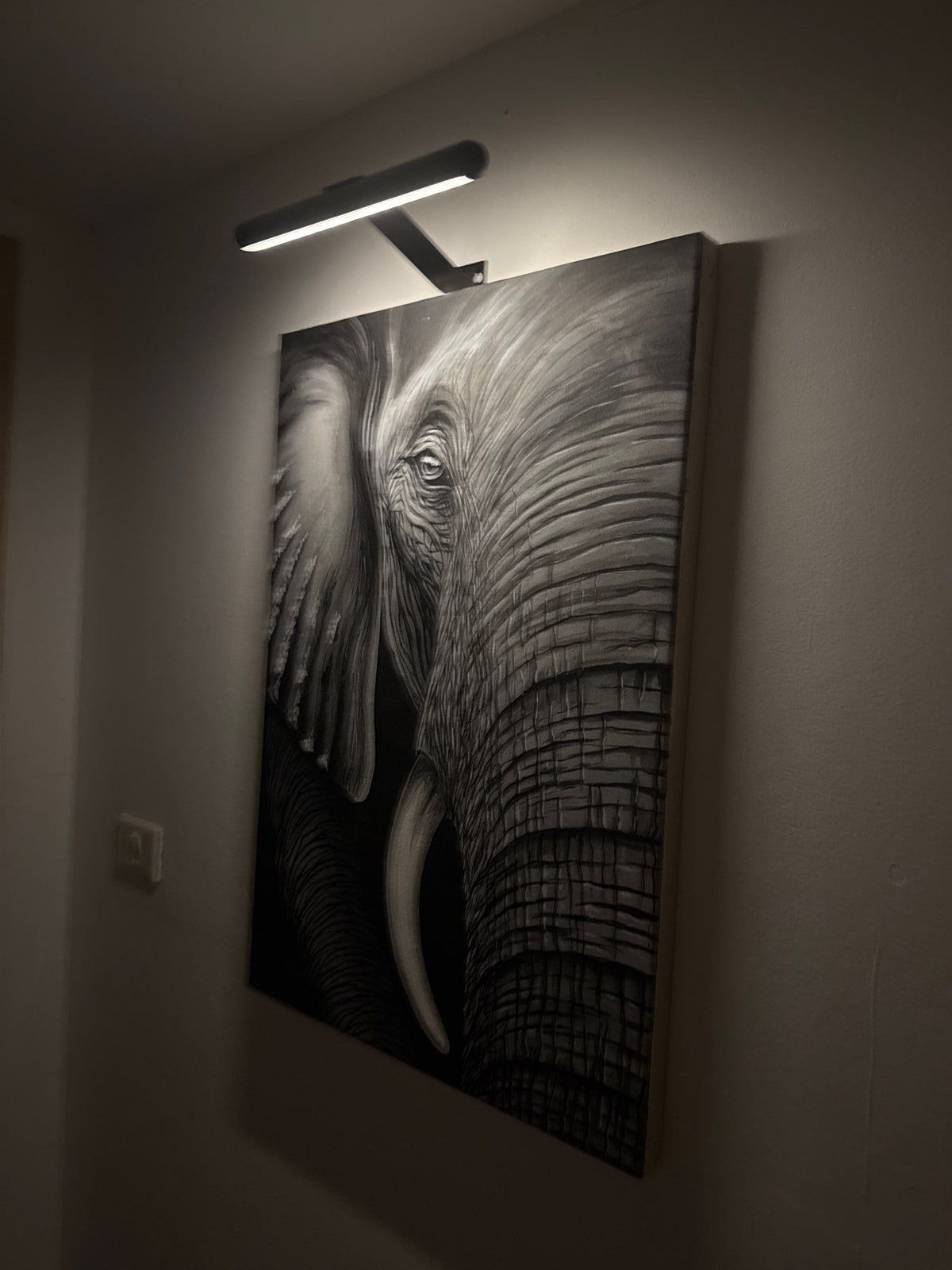 Cordless LED Picture Light – Rechargeable Wall Light for Art & Photos