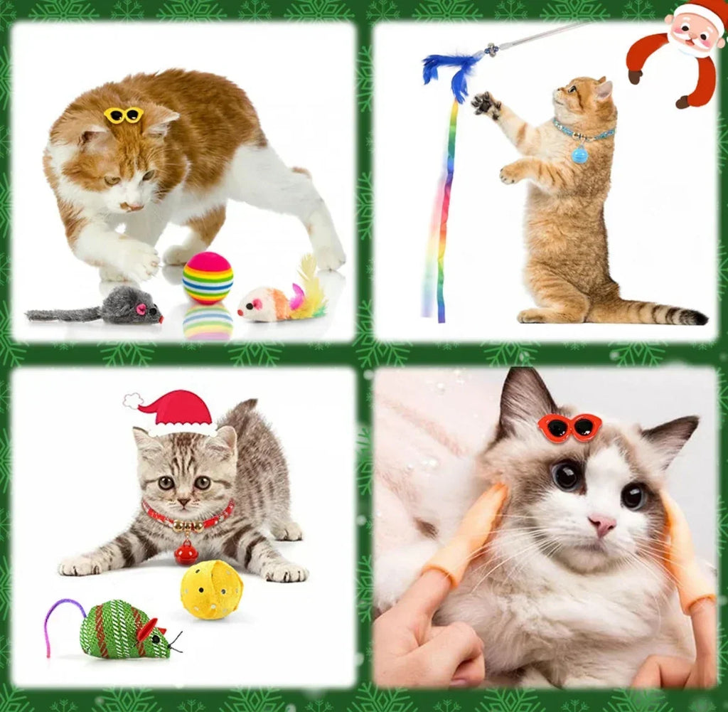 Pet Advent Calendar for Dogs or Cats with 24 Pet Toys 2026