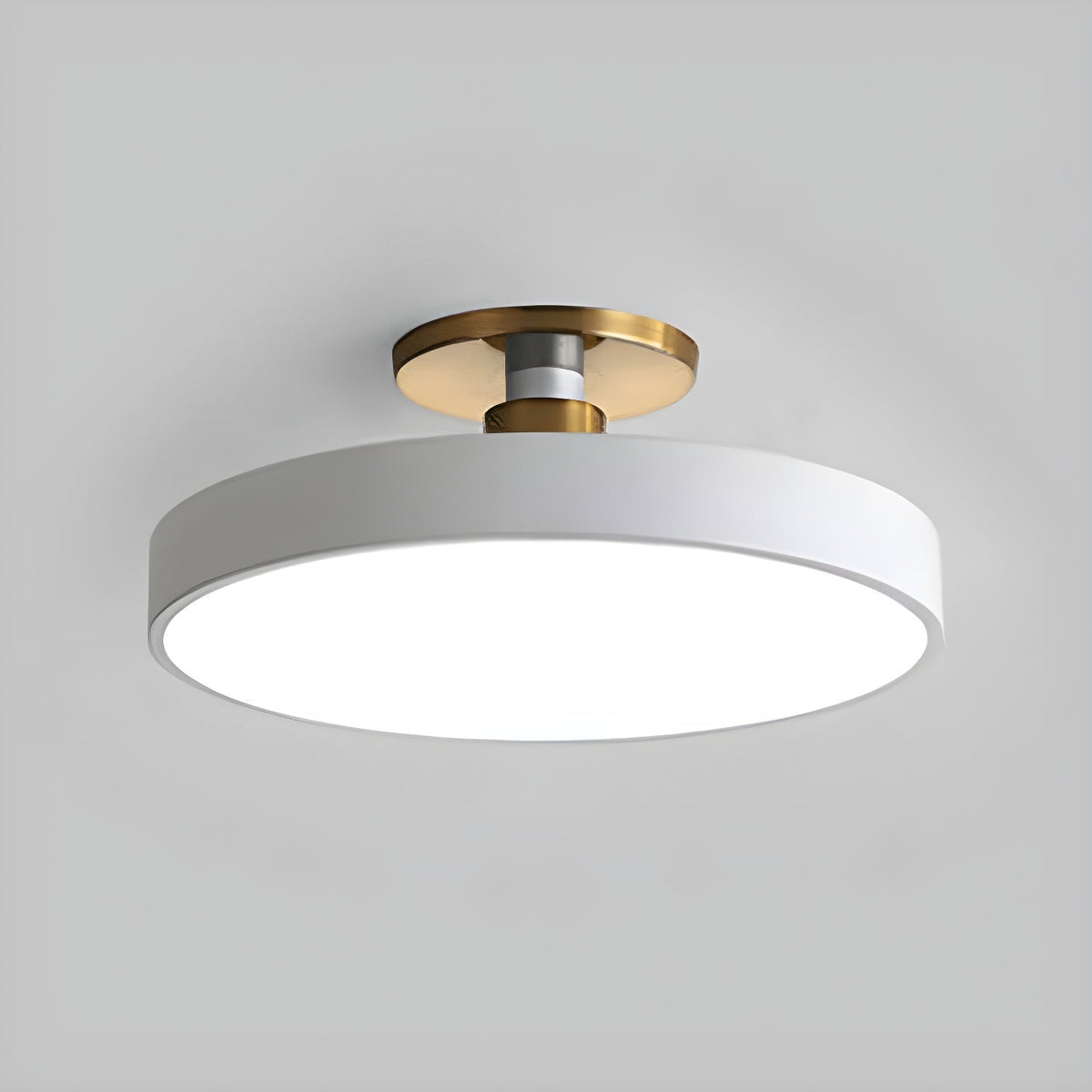 Isla Round Flush-Mount LED Ceiling Light – Black Metal with White Diffuser for Dining Rooms & Offices, Six Colours