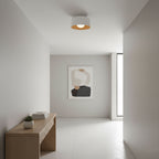 Round Glass Globe Ceiling Light with Wood-Grain Interior – Ø 22 cm, G9, Wall Mountable for Hallway, Kitchen & Bedroom