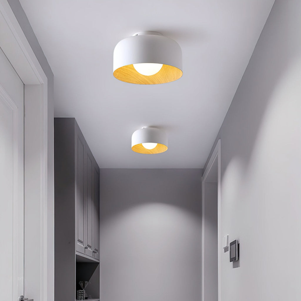 Round Glass Globe Ceiling Light with Wood-Grain Interior – Ø 22 cm, G9, Wall Mountable for Hallway, Kitchen & Bedroom
