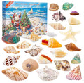Seashell Advent Calendar with 24 Real Shells and Snail Shells 2026