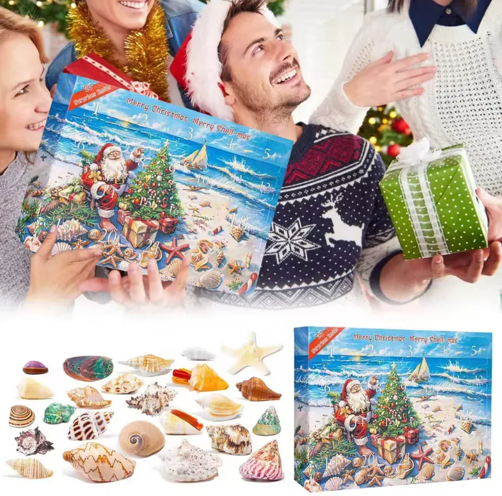 Seashell Advent Calendar with 24 Real Shells and Snail Shells 2026