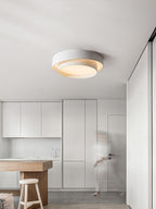 Dimmable Cylinder LED Ceiling Light – Iron & Acrylic Flush Light for Living Room & Bedroom, Ø 40–60 cm